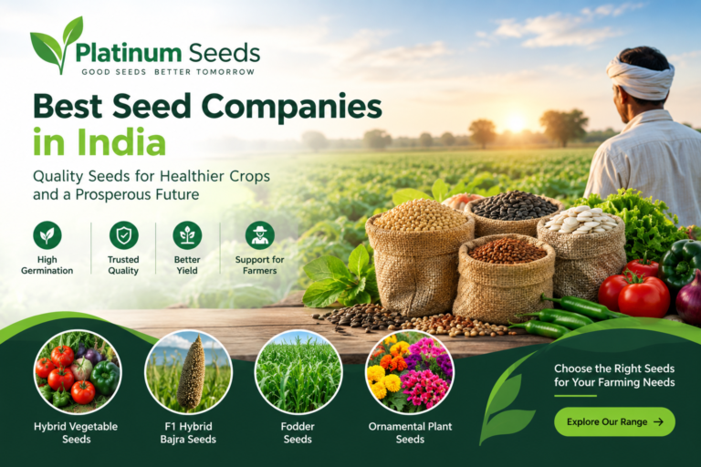 Best Seed Companies in India | Platinum Seeds