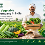 Hybrid Vegetable Seed Company in India