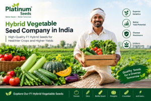 Hybrid Vegetable Seed Company in India