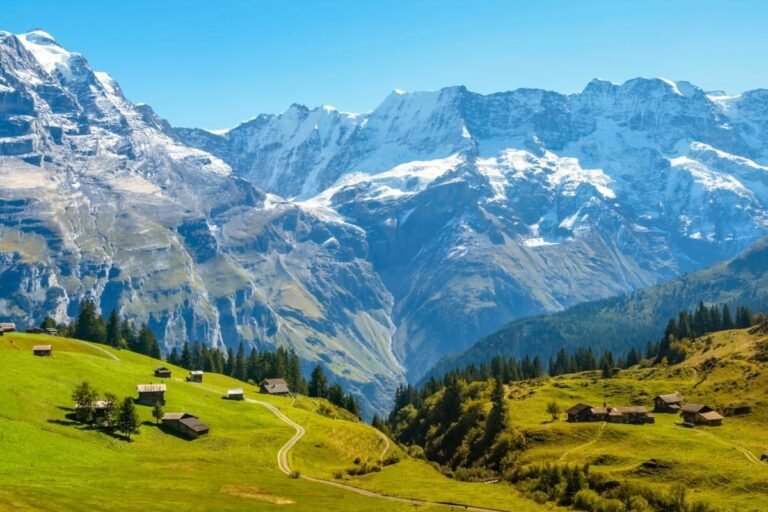 How Can You Experience Europe Through Its Traditional Artisan Markets?