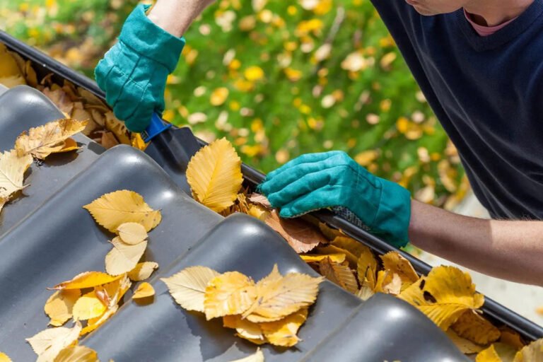 Keeping Your Property Protected Through Regular Exterior Maintenance