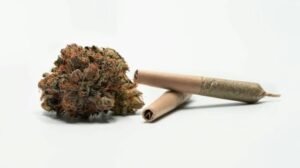 Buy Weed Online for the purpose of Good, Efficiency, not to mention Smart Picks