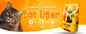 JASON Cat Litter: Natural, Safe and Affordable Cat Care in Pakistan