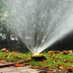Transformed Landscaping Co. Creates Xeriscape in Austin Texas