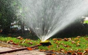 Transformed Landscaping Co. Creates Xeriscape in Austin Texas