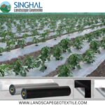 How Black Mulch Film Protects Soil and Crops