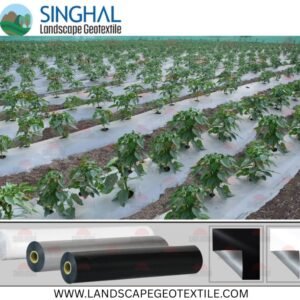 How Black Mulch Film Protects Soil and Crops