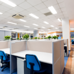 Maintaining a Professional, Clean, and Productive Workplace