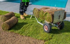Ridgeview Landscape: Complete Landscaping in Mansfield TX for Beautiful Outdoor Living