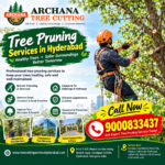 Tree Pruning Services in Hyderabad – Archana Tree Cutting Services