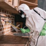 A Practical Guide to Professional Local Pest Control