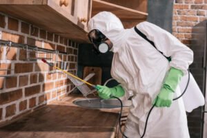 A Practical Guide to Professional Local Pest Control