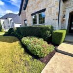Texterra Lawn & Landscaping LLC: Reliable Lawn Care in Grapevine TX